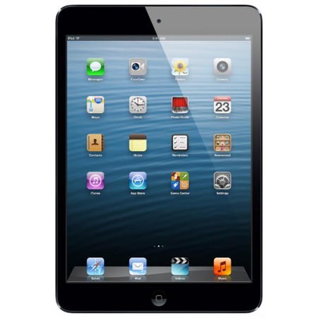 Apple iPad mini 64Gb Wi-Fi черный - Орёл