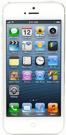 Смартфон Apple iPhone 5 64Gb White & Silver - Орёл